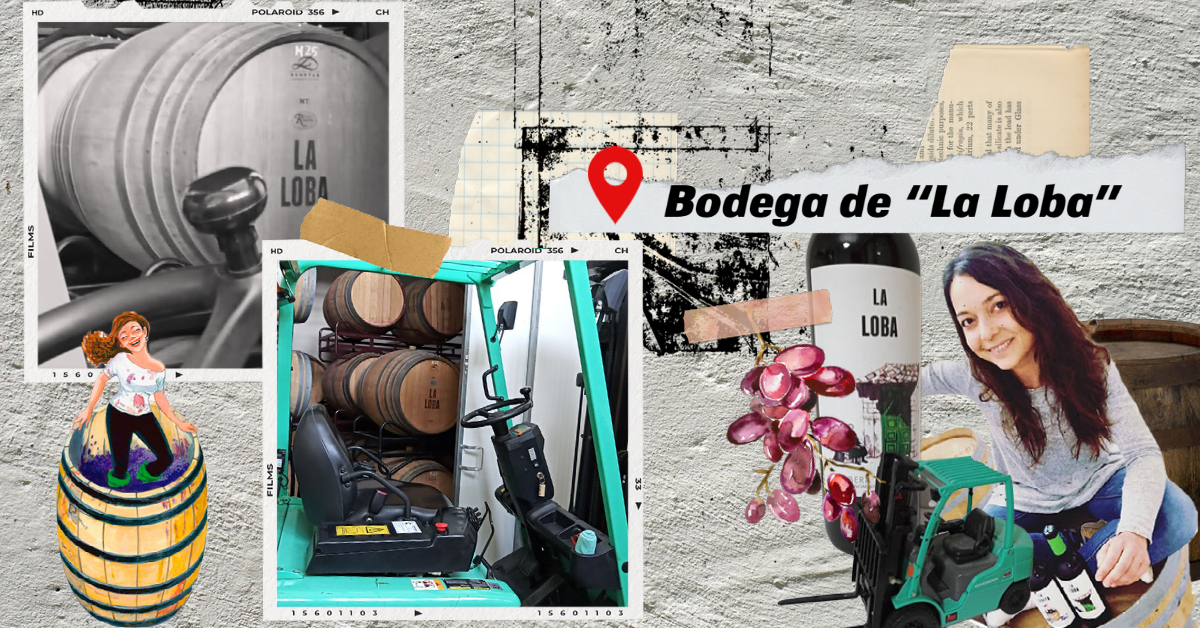 Bodega La Loba