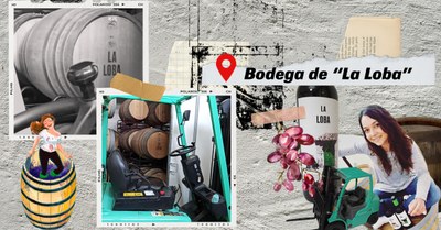 Bodega La Loba Bodega La Loba